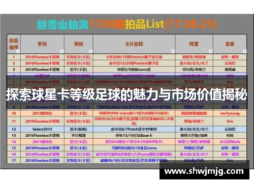 探索球星卡等级足球的魅力与市场价值揭秘