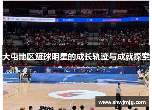 大屯地区篮球明星的成长轨迹与成就探索
