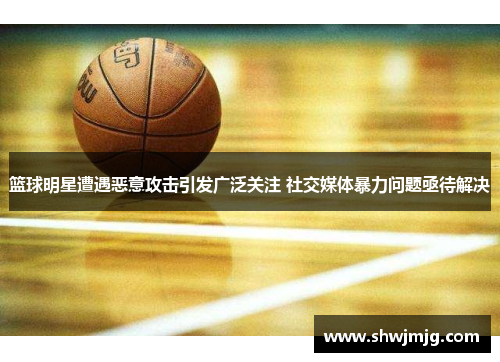 篮球明星遭遇恶意攻击引发广泛关注 社交媒体暴力问题亟待解决