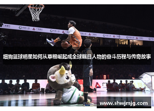 细狗篮球明星如何从草根崛起成全球瞩目人物的奋斗历程与传奇故事