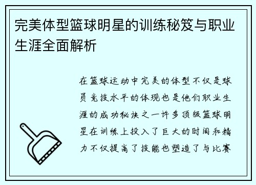 完美体型篮球明星的训练秘笈与职业生涯全面解析